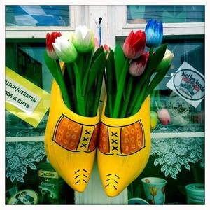 Meet your Posher, Barbara